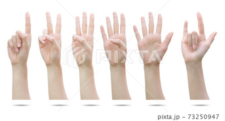 Female hands isolated Female hands isolated 73250947