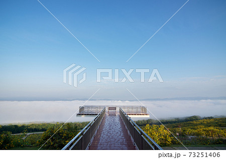 Landscape nature flower Tung Bua Tong, View point. Landscape nature flower Tung Bua Tong, View point. 73251406