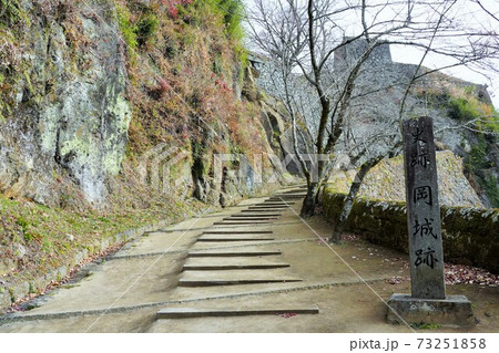 【大分県竹田市】岡城跡 73251858