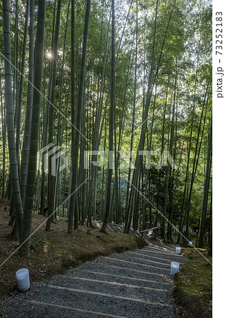 京都高台寺の風景 京都高台寺の風景 73252183