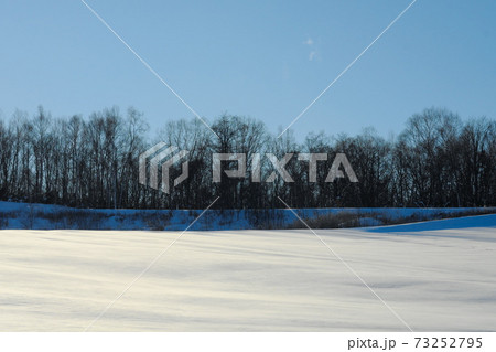 美しい冬の公園 73252795