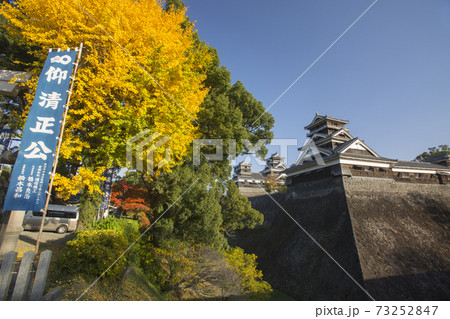 熊本城 宇土櫓と銀杏紅葉 西側加藤神社入口より 熊本城 宇土櫓と銀杏紅葉 西側加藤神社入口より 73252847