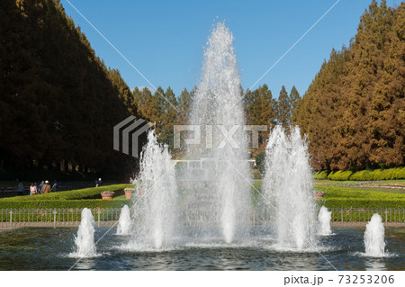 相模原公園・噴水 73253206