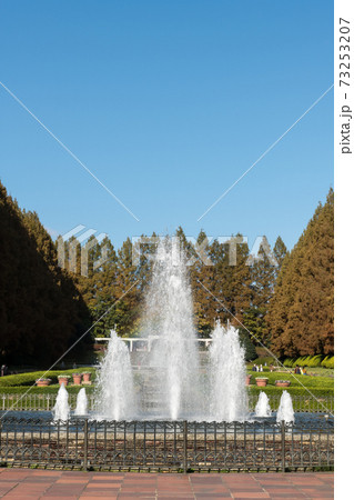 相模原公園・噴水 73253207