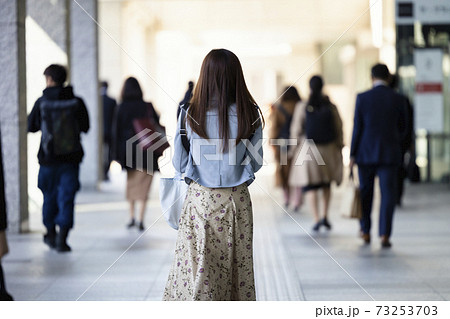 朝、出社する女性の後ろ姿 朝、出社する女性の後ろ姿 73253703