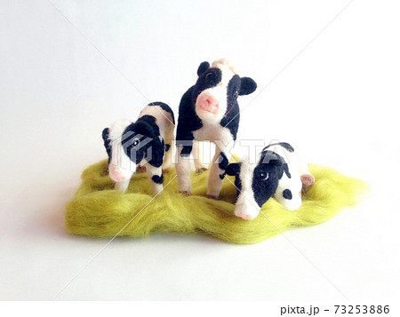 グリーンの上で寄り添う牛の親子 グリーンの上で寄り添う牛の親子 73253886