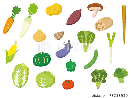 野菜セット 野菜セット 73253930