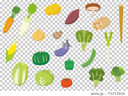 野菜セット 野菜セット 73253930