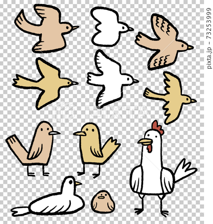 色々な鳥のイラストのイラスト素材