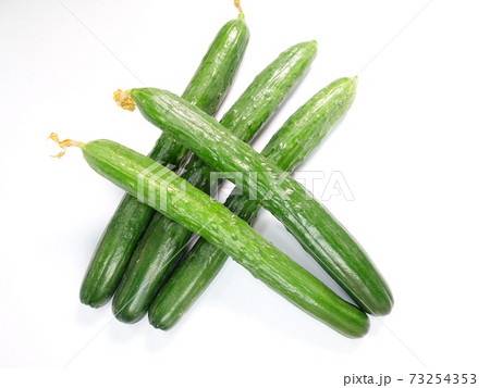 キュウリ 73254353