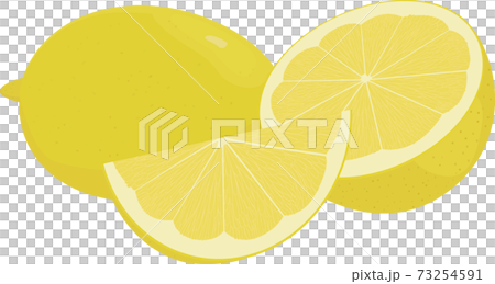 Fresh lemons, yellow  lime fruit vector illustration 73254591