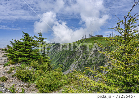 夏の美ヶ原高原 烏帽子岩より王ヶ頭を望む 夏の美ヶ原高原 烏帽子岩より王ヶ頭を望む 73255457