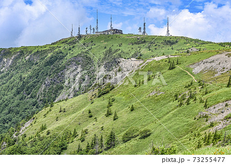 夏の美ヶ原高原 アルプス展望コースより王ヶ頭方面を望む 夏の美ヶ原高原 アルプス展望コースより王ヶ頭方面を望む 73255477