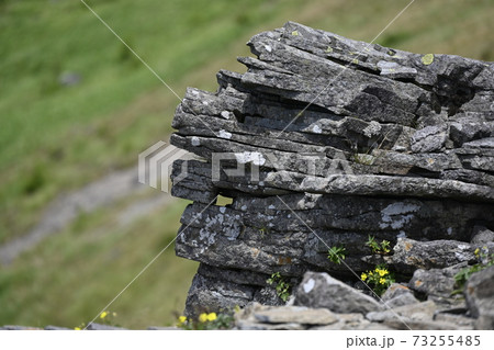 夏の美ヶ原高原　アルプス展望コース　展望岩 73255485