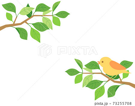 葉28 新緑 緑 枝 鳥 小鳥のイラスト素材 [73255708] - PIXTA