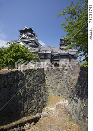 熊本城大小天守閣と桜新緑 北東側より 熊本城大小天守閣と桜新緑 北東側より 73255745