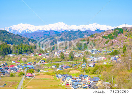 信州・小川村の春 信州・小川村の春 73256260