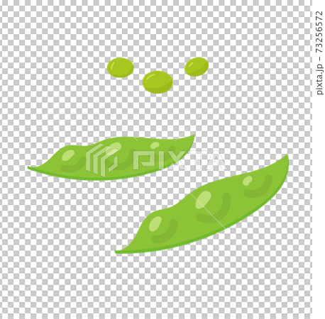 えだまめ_房と豆 えだまめ_房と豆 73256572