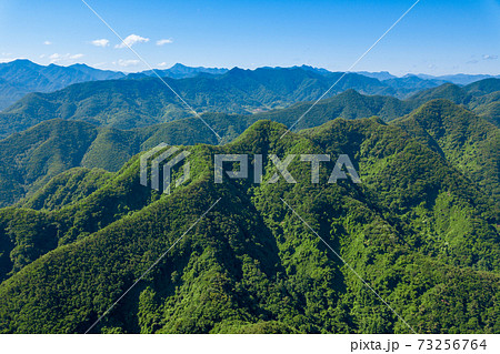 山 森林 森 73256764