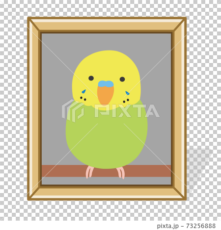 Photo frame of pet's remains (parrot) Illustration 73256888