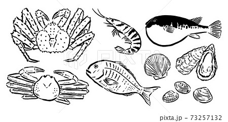 高級食材など鮮魚毛筆 高級食材など鮮魚毛筆 73257132