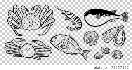 高級食材など鮮魚毛筆 高級食材など鮮魚毛筆 73257132