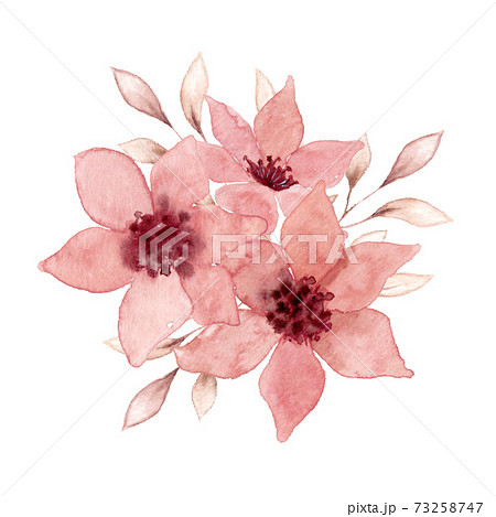 水彩画 花 ピンク系 ピンクの花の水彩イラストのイラスト素材 [73258747] - PIXTA
