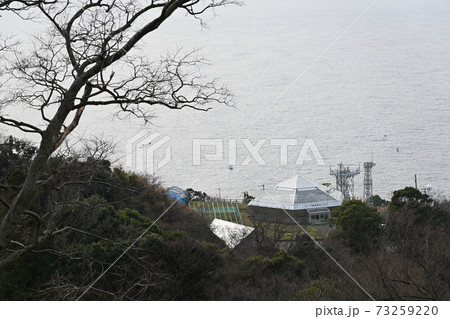越前町水仙ランド ハーブ園と海 越前町水仙ランド ハーブ園と海 73259220