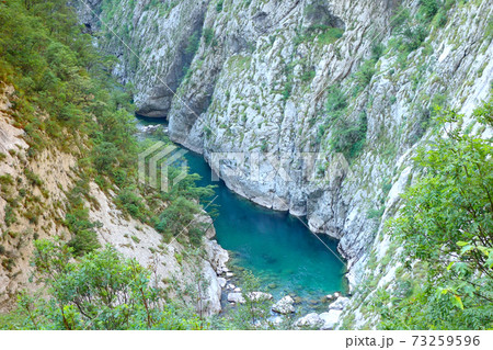 The Tara River 73259596