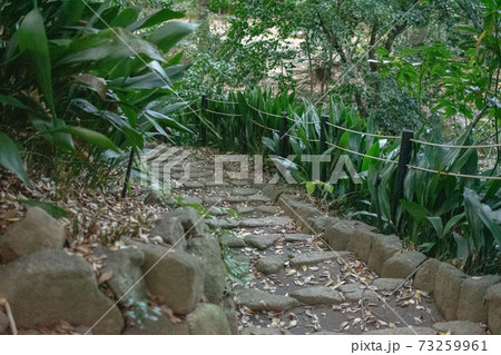 名主の滝公園の石段／東京都北区 73259961