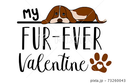 My Fur Ever Valentine isolated on white background. Dog Lover Handwriting design. For t shirt, greeting card or poster design Background Vector Illustration. My Fur Ever Valentine isolated on white background. Dog Lover Handwriting design. For t shirt, greeting card or poster design Background Vector Illustration. 73260043