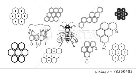Vector icons illustration  honeycomb and bee isolated on white background. 73260482