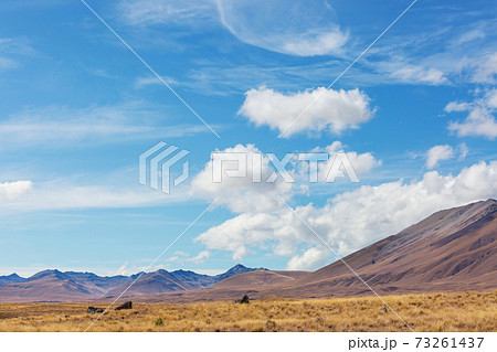 New Zealand hills New Zealand hills 73261437