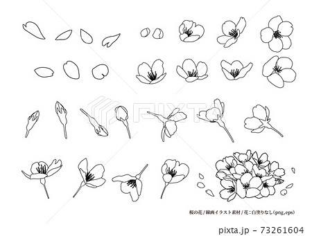 桜の花 線画イラスト素材 デザインパーツ 色々な角度 白黒 線画 白背景 花 白塗りなし のイラスト素材