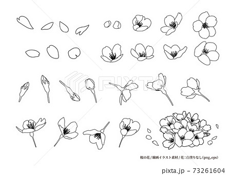 桜 イラスト 白黒 リアル