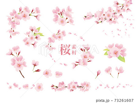 桜の花 イラスト素材 ワンポイント 装飾 デザインパーツ カラー 線なし 白背景 のイラスト素材