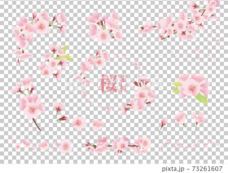 桜の花 イラスト素材 ワンポイント 装飾 デザインパーツ カラー 線なし 白背景 のイラスト素材