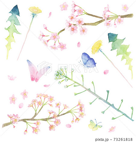 イラスト集 水彩画で描かれた春の植物 桜 たんぽぽ ナズナ と蝶のイラスト素材集のイラスト素材