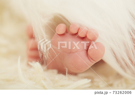 newborn's feet closeup 73262006