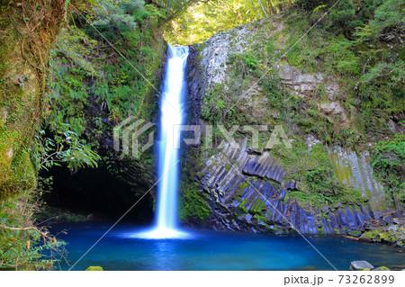 天城峠　浄蓮の滝 73262899