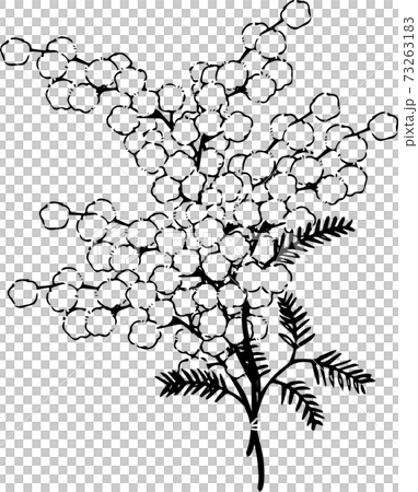 ミモザの花束のイラスト素材