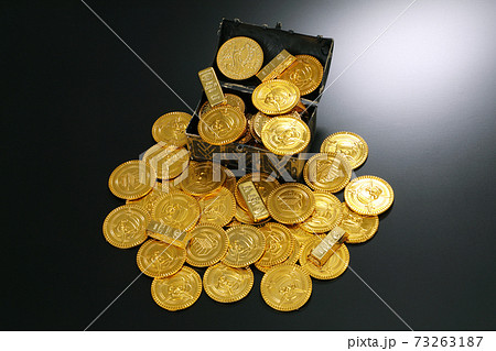 金貨イメージ 金貨イメージ 73263187