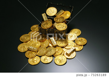 金貨イメージ 73263189