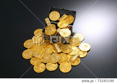 金貨イメージ 73263190