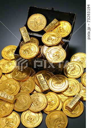 金貨イメージ 73263194