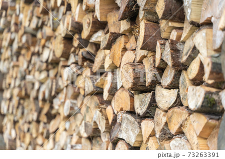 Preparation of firewood for the winter season Preparation of firewood for the winter season 73263391