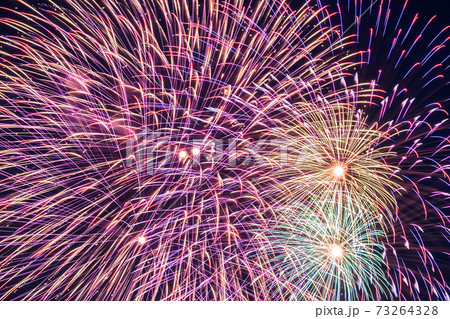 夜空に広がる大花火（戸田橋・いたばし花火大会） 73264328