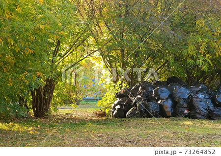 Black garbage bags with trash in autumn park near the trees, seasonal cleaning. Black garbage bags with trash in autumn park near the trees, seasonal cleaning. 73264852