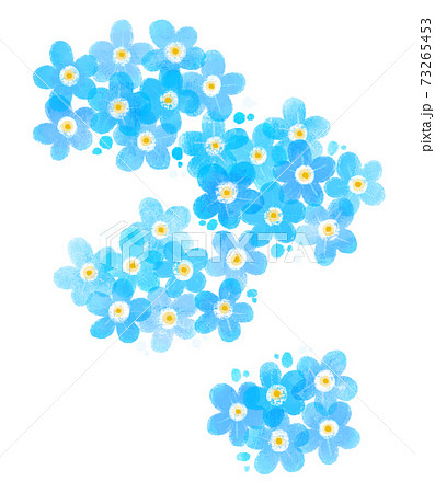 ワスレナグサのイラスト素材