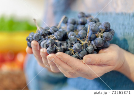 Woman holds bunches of grapes in her hands 73265871